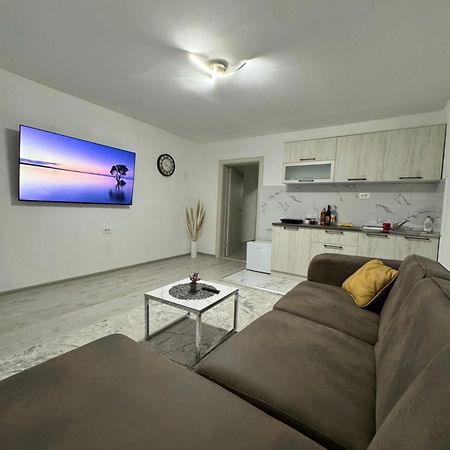 Apartment Airport Dd ミトロヴィツァ エクステリア 写真