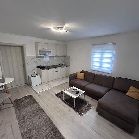 Apartment Airport Dd ミトロヴィツァ エクステリア 写真
