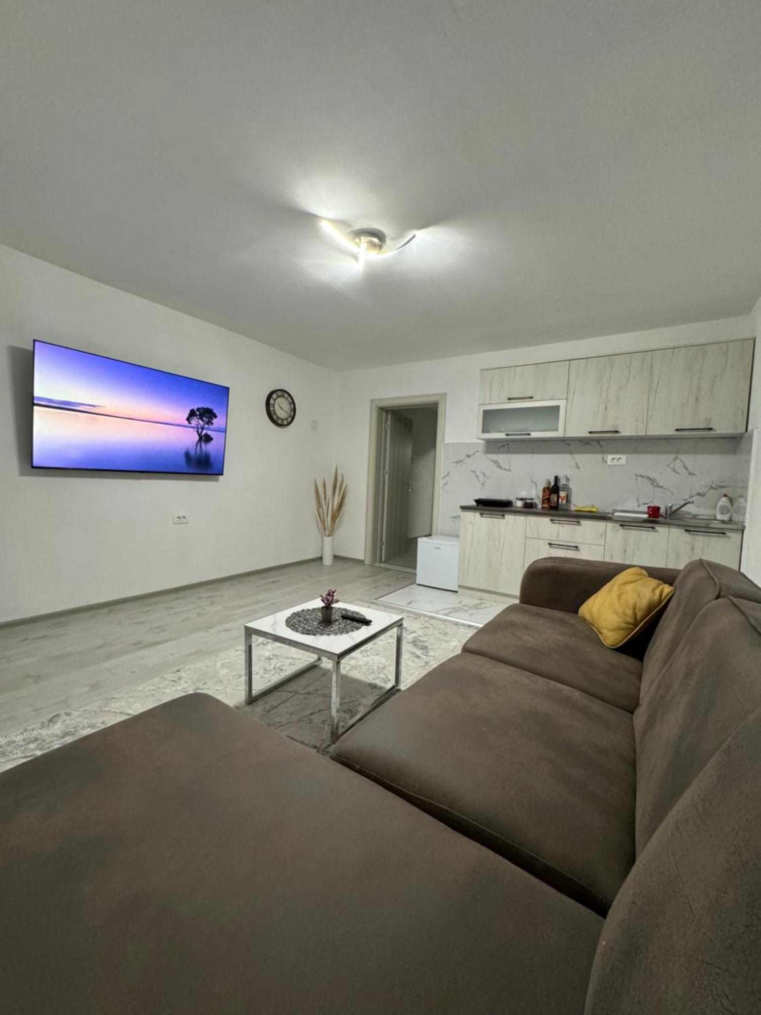 Apartment Airport Dd ミトロヴィツァ エクステリア 写真