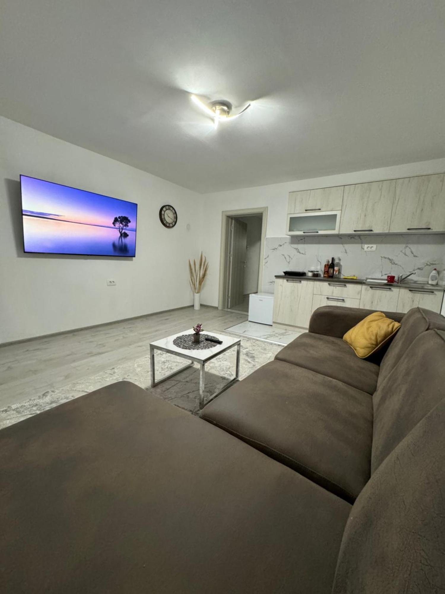 Apartment Airport Dd ミトロヴィツァ エクステリア 写真
