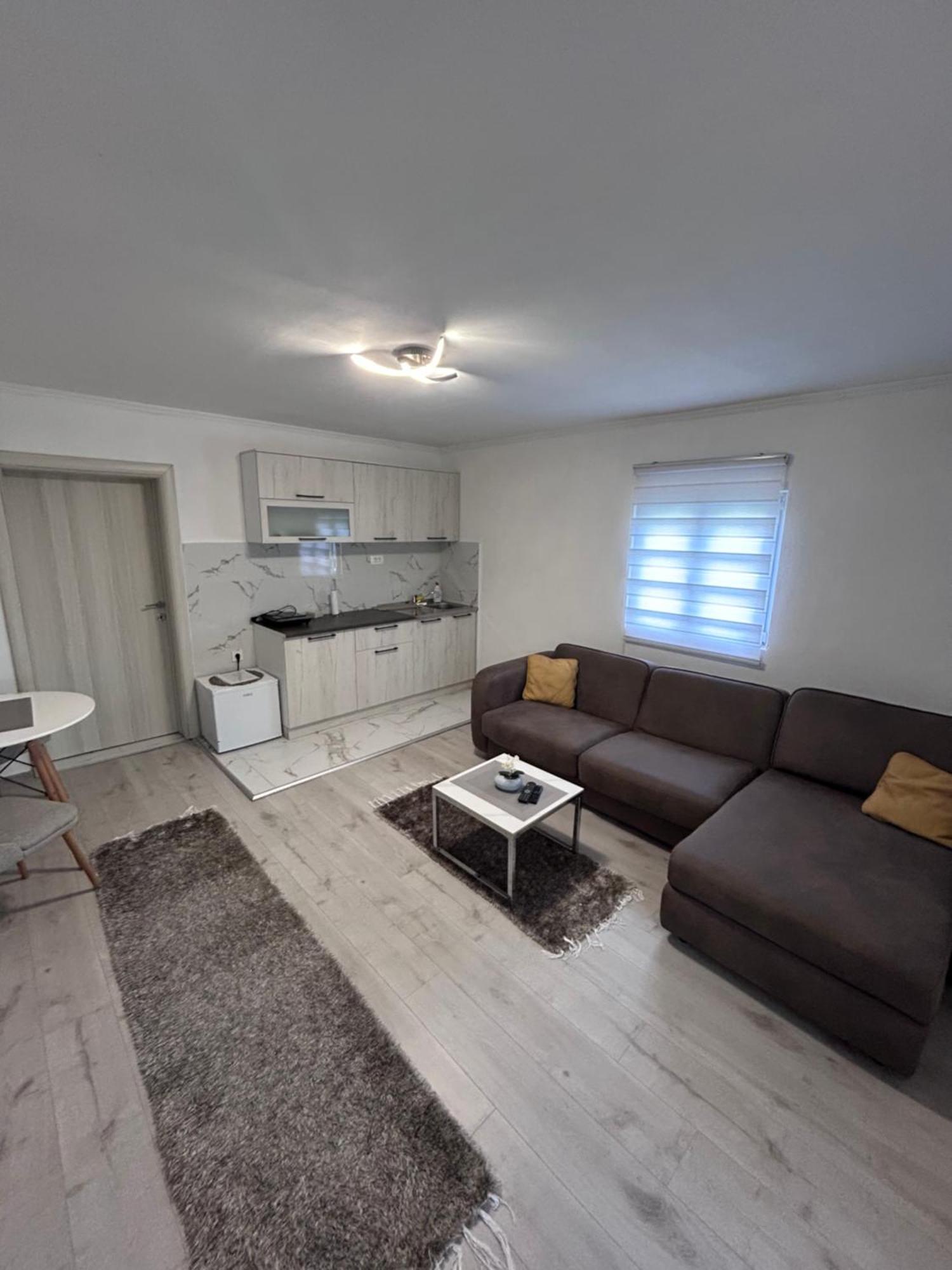 Apartment Airport Dd ミトロヴィツァ エクステリア 写真
