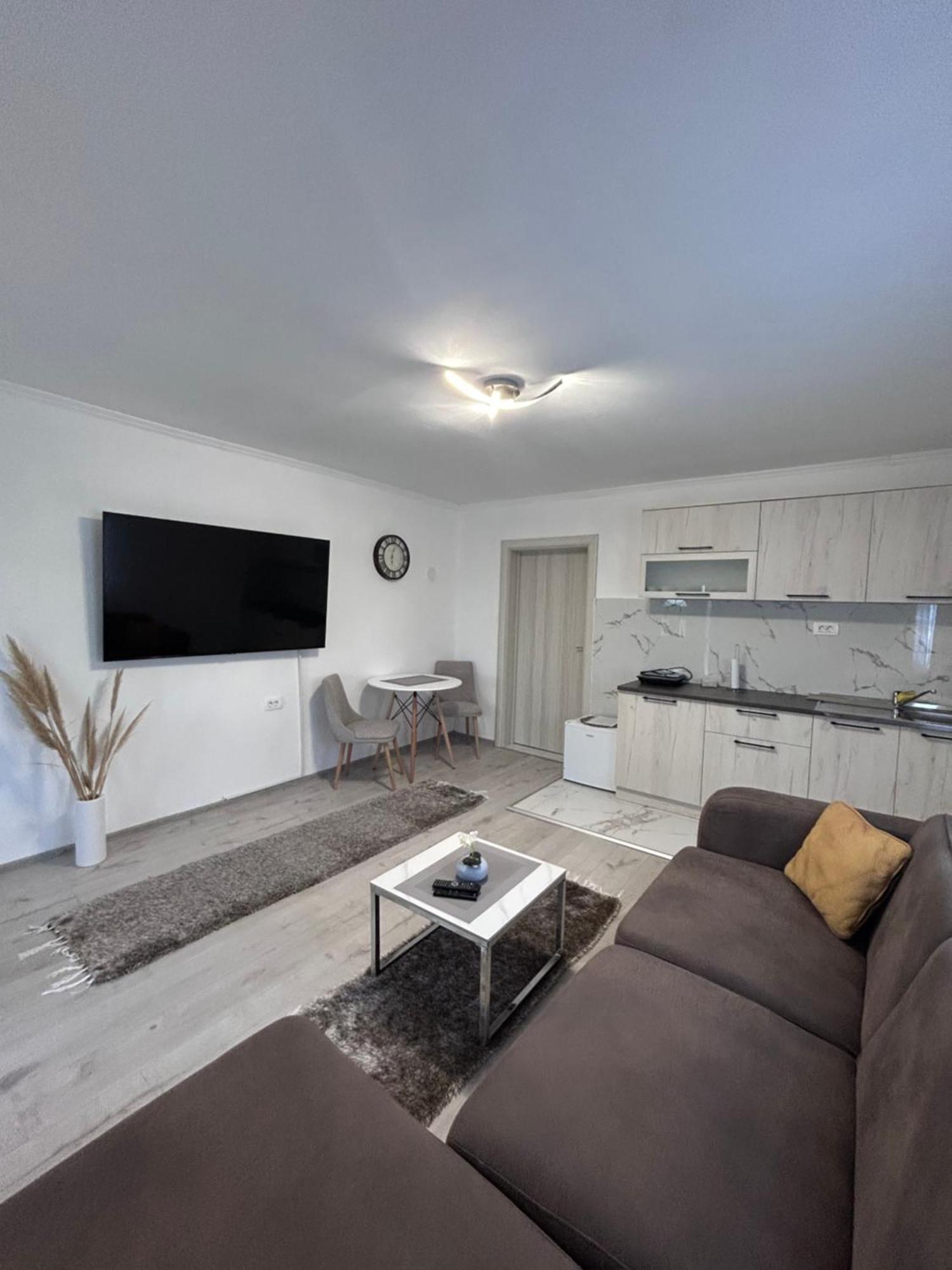 Apartment Airport Dd ミトロヴィツァ エクステリア 写真