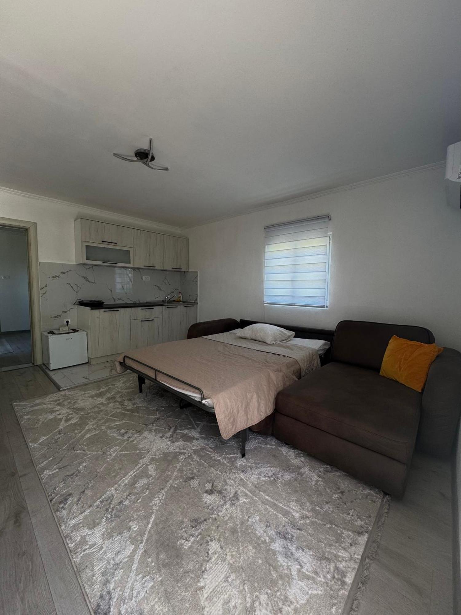 Apartment Airport Dd ミトロヴィツァ エクステリア 写真